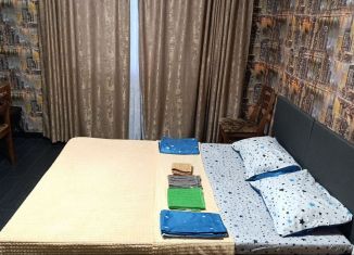 Сдам в аренду квартиру студию, 18.5 м2, Санкт-Петербург, улица Швецова, 8, Кировский район