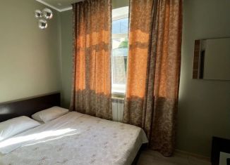 Аренда 1-ком. квартиры, 24 м2, Сочи, переулок Рахманинова, 36/5А, микрорайон Новый Сочи