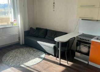 Продается квартира студия, 28 м2, Новосибирск, микрорайон Горский, 8А, Ленинский район