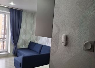 Сдам квартиру студию, 29 м2, Санкт-Петербург, Среднерогатская улица, 20, муниципальный округ Звёздное