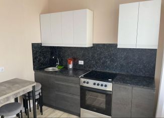 Сдаю однокомнатную квартиру, 44 м2, село Мариинский, проспект Октября, 99