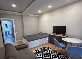 Сдам в аренду 1-комнатную квартиру, 40 м2, Сочи, улица Бытха, 41/19, микрорайон Бытха