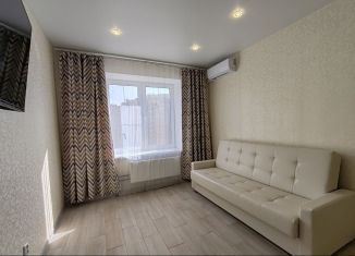 Аренда 1-ком. квартиры, 38 м2, село Осиновая Гора, улица Аркадия Шипунова, 40, ЖК Времена Года