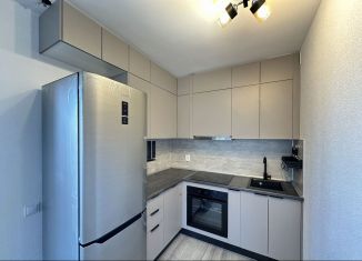 Сдам однокомнатную квартиру, 38 м2, посёлок Парголово, Михайловская дорога, 14к1