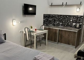 Сдается квартира студия, 25 м2, Нижний Новгород, Московское шоссе, 83
