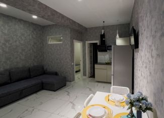 Сдается в аренду 1-комнатная квартира, 40 м2, Сочи, улица Яна Фабрициуса, 2/26А, микрорайон Яна Фабрициуса