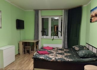 Сдаю в аренду квартиру студию, 24 м2, Котельники, улица Строителей, 5