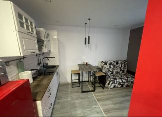 Сдаю квартиру студию, 25 м2, Санкт-Петербург, проспект Королёва, 62, муниципальный округ Коломяги