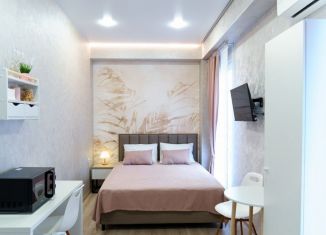 Сдаю в аренду квартиру студию, 16 м2, Сочи, Бамбуковая улица, 14А