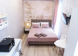 Сдается квартира студия, 16 м2, Сочи, Бамбуковая улица, 14А, микрорайон Новый Сочи