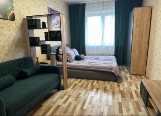 Сдается 1-комнатная квартира, 41 м2, Санкт-Петербург, Ленинский проспект, Красносельский район