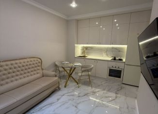 Сдаю в аренду двухкомнатную квартиру, 40 м2, Сочи, улица Яна Фабрициуса, 2/23Мк2, микрорайон Яна Фабрициуса