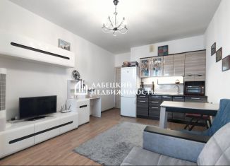 Продаю квартиру студию, 24.2 м2, Кудрово, Венская улица, 4к1