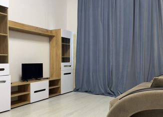 Сдаю в аренду квартиру студию, 23 м2, Санкт-Петербург, Арцеуловская аллея, 19, муниципальный округ Коломяги