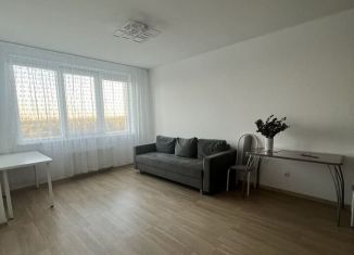 Сдается в аренду однокомнатная квартира, 43 м2, Екатеринбург, улица Академика Вонсовского, 19, метро Чкаловская