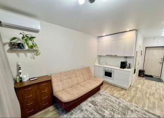 Продажа квартиры студии, 25 м2, Новосибирск, улица Серафимовича, 22, Ленинский район