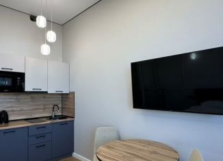 Аренда квартиры студии, 30 м2, Республика Башкортостан, улица 50 лет СССР, 34