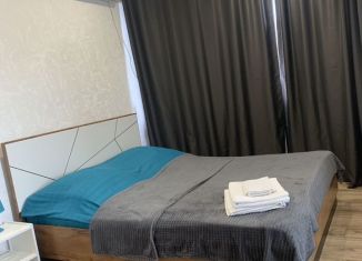 1-ком. квартира в аренду, 37 м2, Республика Башкортостан, Караидельская улица, 60