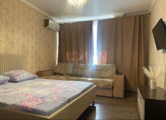 1-комнатная квартира в аренду, 40 м2, Саратов, улица имени А.С. Трынина, 4, ЖК Авиатор