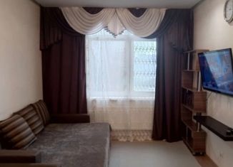 1-ком. квартира в аренду, 38 м2, Санкт-Петербург, улица Адмирала Черокова, 20, Красносельский район