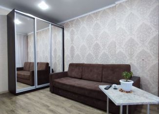 Аренда однокомнатной квартиры, 31 м2, Ростов-на-Дону, улица Герасименко, 17/4