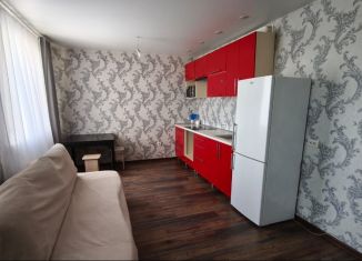 Сдается квартира студия, 28.8 м2, Искитим, улица Чапаева, 1А