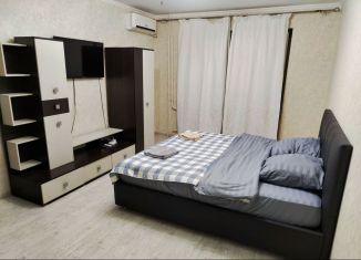 1-комнатная квартира в аренду, 39 м2, Саратов, 1-й проезд Строителей, 3А