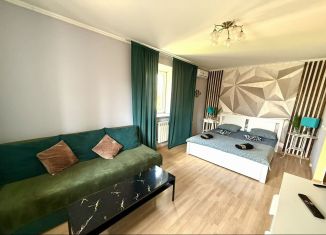 Сдается 1-комнатная квартира, 30 м2, Омск, проспект Карла Маркса, 75А