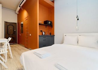 Сдается в аренду квартира студия, 18 м2, Санкт-Петербург, Большой проспект Петроградской стороны, 13/4, Петроградский район