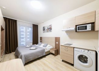 Сдача в аренду квартиры студии, 26 м2, Санкт-Петербург, Пулковское шоссе, 14Е, муниципальный округ Звёздное