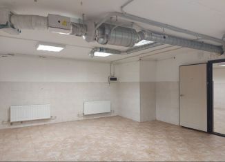 Продам помещение свободного назначения, 61.3 м2, посёлок Шушары, Пушкинская улица, 10к2