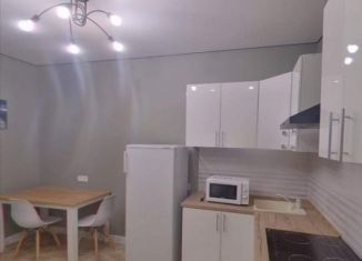 Квартира в аренду студия, 23.5 м2, Краснодар, улица Героя Владислава Посадского, 17к2