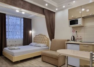 Сдается квартира студия, 22 м2, Саратов, улица имени Н.В. Гоголя, 99В