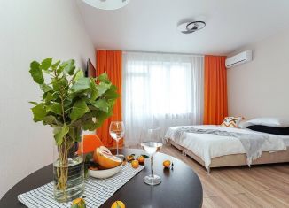 Сдаю в аренду квартиру студию, 25 м2, Краснодар, улица Лётчика Позднякова, 2к17
