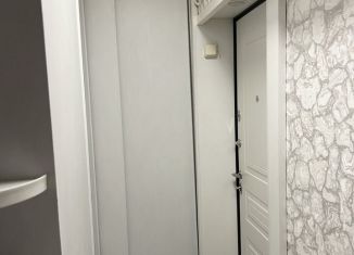 Продаю 2-комнатную квартиру, 45.9 м2, Татарстан, улица Хади Такташа, 97