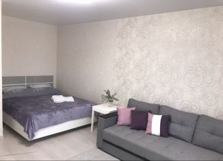 Сдам в аренду однокомнатную квартиру, 37 м2, Саратов, улица имени Виктора Аржаного, 2