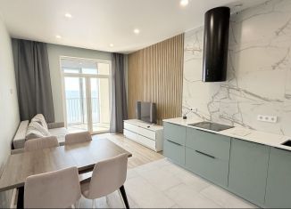 Сдам 2-ком. квартиру, 64.1 м2, Санкт-Петербург, набережная Миклухо-Маклая, 1к1, Василеостровский район