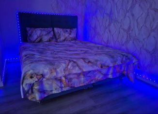 Сдача в аренду квартиры студии, 32 м2, Омская область, Иртышская набережная, 18