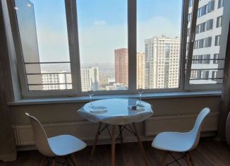 Сдам квартиру студию, 35 м2, Новосибирск, улица Немировича-Данченко, 158, метро Речной вокзал