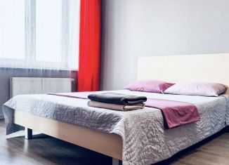 Сдается в аренду квартира студия, 55 м2, Екатеринбург, улица Циолковского, 29, ЖК Времена Года