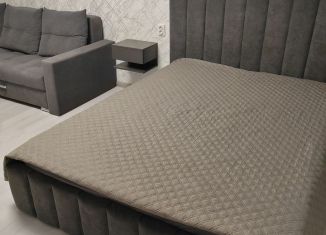 Сдается в аренду 1-ком. квартира, 38 м2, Воронеж, улица Фёдора Тютчева, ЖК Микрорайон Боровое