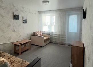 Сдается однокомнатная квартира, 27 м2, Нижегородская область, Октябрьская улица, 35