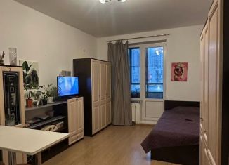 Сдам в аренду квартиру студию, 25 м2, Мурино, Петровский бульвар, 11к2