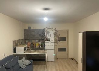 Продается квартира студия, 26.4 м2, городской посёлок Янино-1, Голландская улица, 10к1