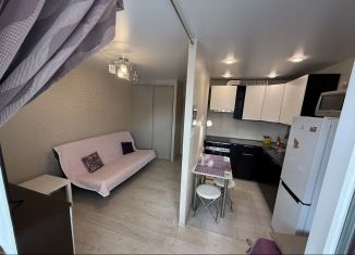 Аренда квартиры студии, 27.1 м2, Санкт-Петербург, улица Коммунаров, 188к3, ЖК Дудергофская Линия 3