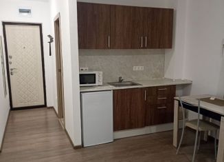 Продажа квартиры студии, 28 м2, Сочи, Клубничная улица, 32Е, микрорайон Новый Сочи