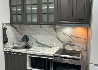 Сдам в аренду квартиру студию, 27 м2, Сочи, Клубничная улица, 32Е, микрорайон Новый Сочи