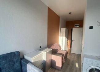 Квартира в аренду студия, 18 м2, Новосибирск, Ипподромская улица, 15, Центральный район