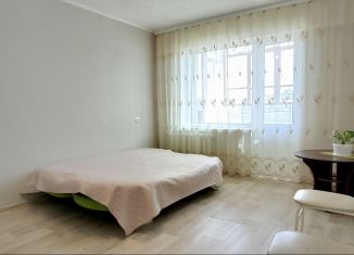 Сдается в аренду однокомнатная квартира, 29 м2, Биробиджан, Невская улица, 6, микрорайон А