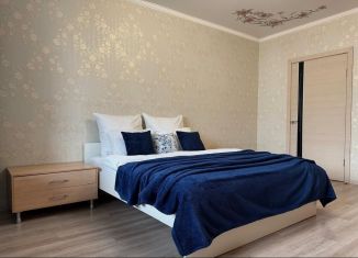 Сдам в аренду однокомнатную квартиру, 50 м2, Орловская область, улица Гагарина, 75